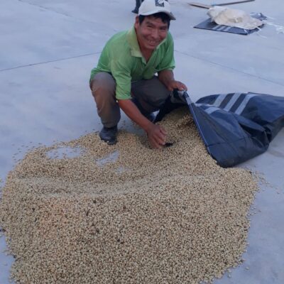hacofco_peru_pichanaki_geisha(3) Ein peruanischer Arbeiter verpackt den getrockneten Kaffee
