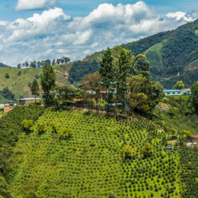 e_mi_ha_Columbia_quelle_Gollücke & Rothfos Volcafe (3) Blick auf das Panorama einer Kaffeefarm in den Bergen Guatemalas