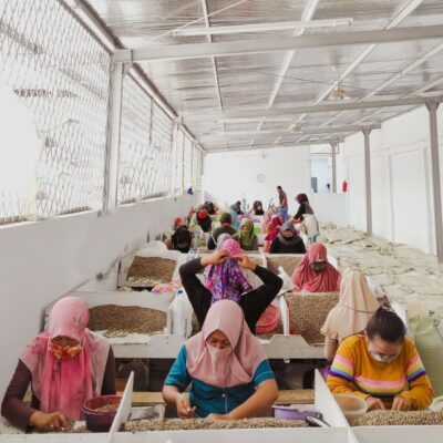 e_mi_ha_indonesia_IAC (3) Arbeiterinnen sortieren Kaffee in Indonesien