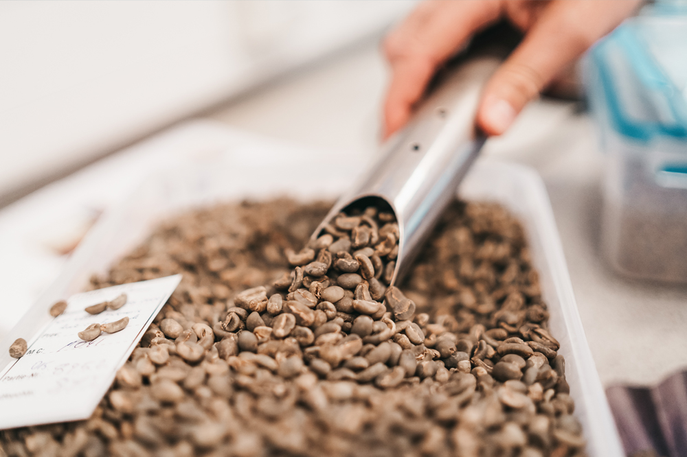 Azul Karriere Rohkaffee